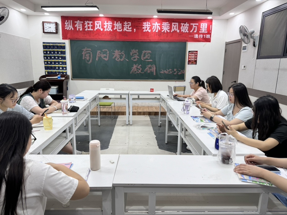 南阳3.png